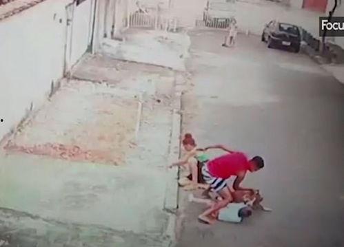 恶犬打架视频,一场血雨腥风的街头较量